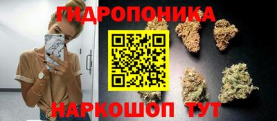 молекула духа Рыбинск