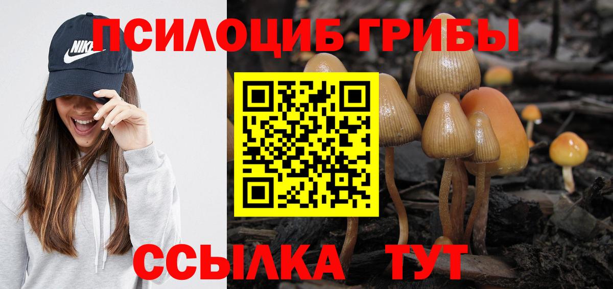 Галлюциногенные грибы Magic Shrooms  Вход с VPN  Галлюциногенные грибы ЛСД  Семилуки 